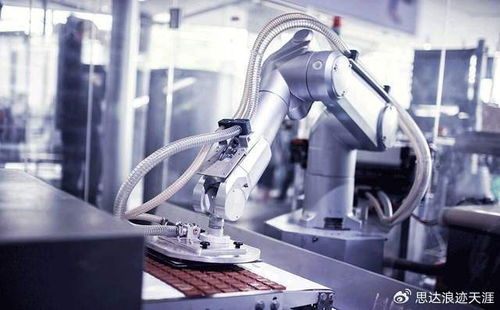 2025中國機(jī)博會(huì)武漢工博會(huì) 技術(shù)驅(qū)動(dòng)產(chǎn)業(yè)變革，綠色與高端制造共舞